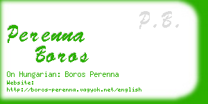 perenna boros business card